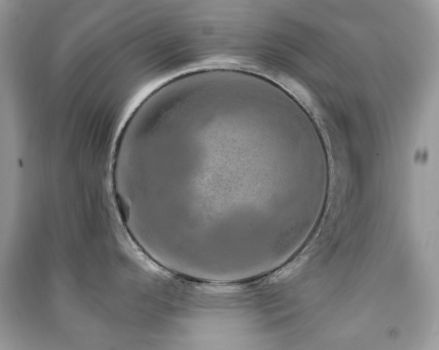 X0000091371296200708101524