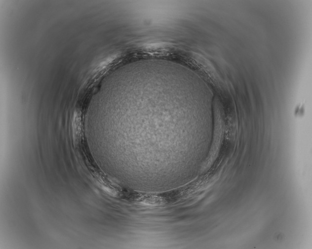 X0000091371298200708101523