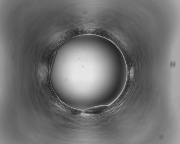 X0000091371299200708101523