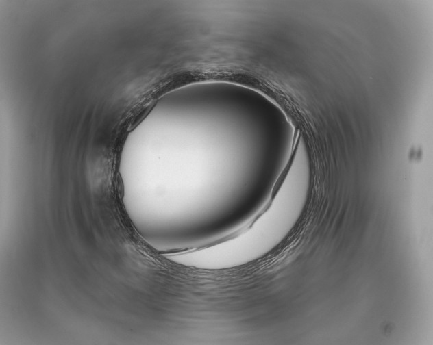 X0000091371300200708101523