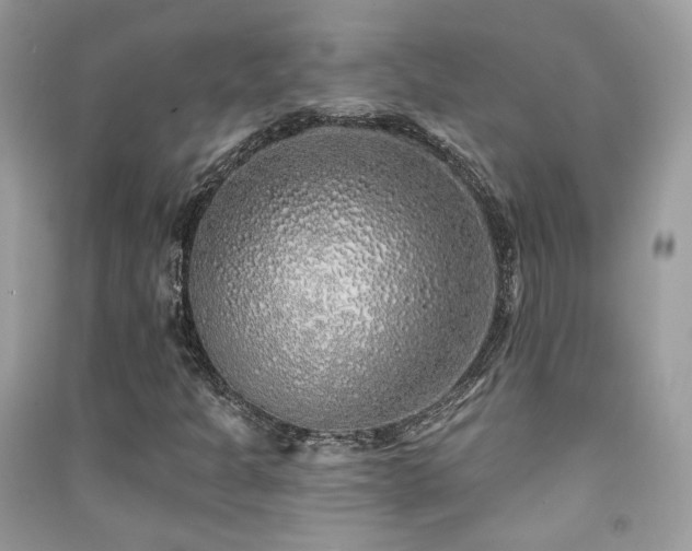 X0000091371301200708101523