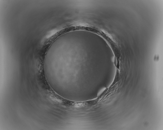 X0000091371303200708101523