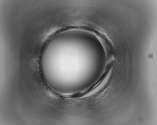 X0000091371304200708101523