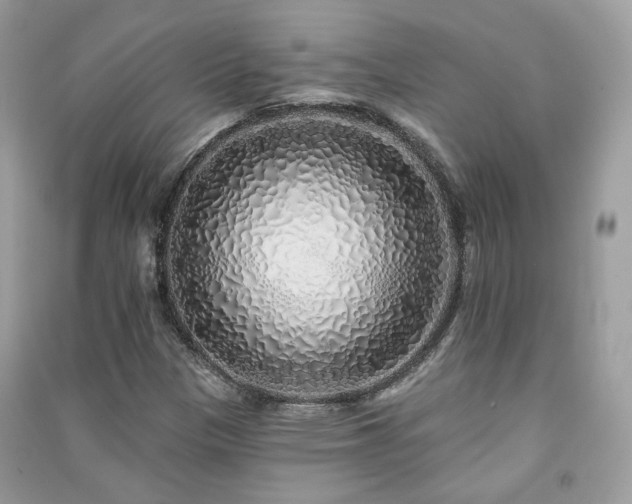 X0000091371305200708101524