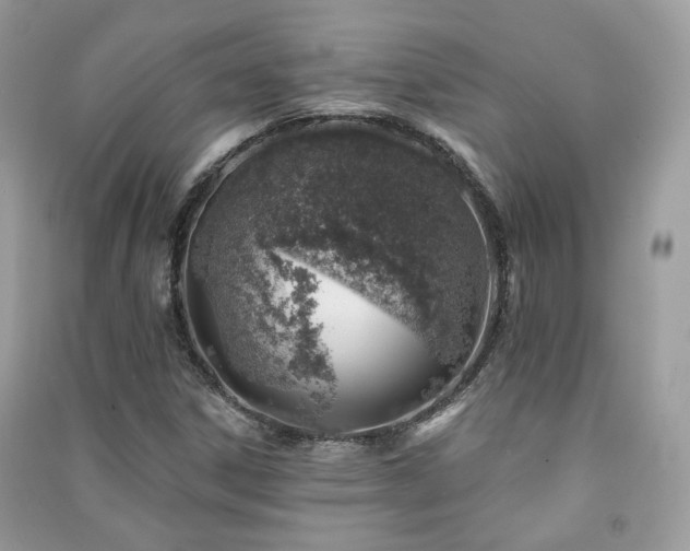 X0000091371306200708101524