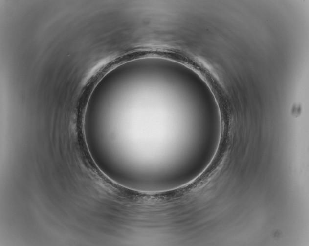 X0000091371307200708101524