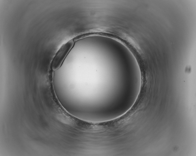 X0000091371308200708101524