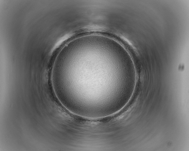 X0000091371309200708101524