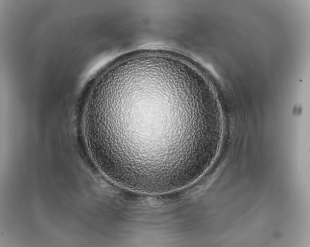 X0000091371311200708101524