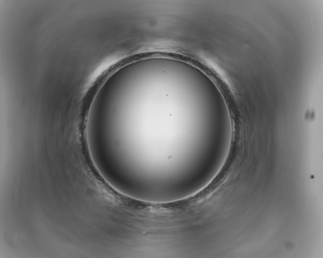 X0000091371312200708101524