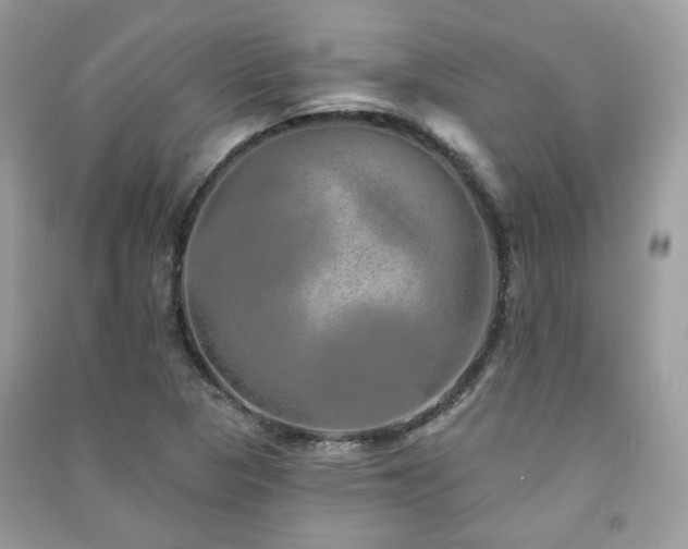 X0000091371313200708101524