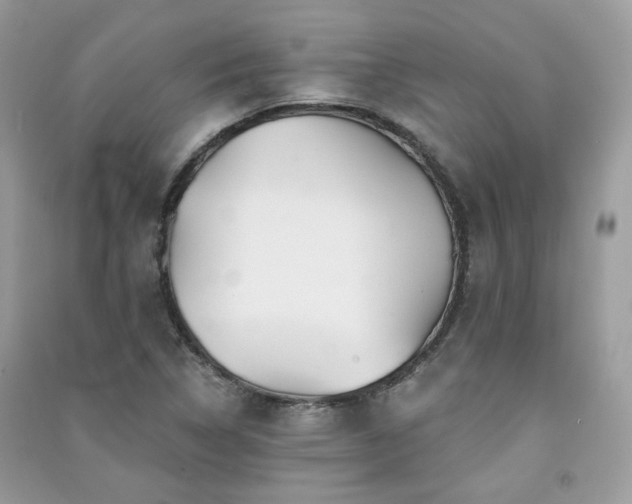 X0000091371314200708101524