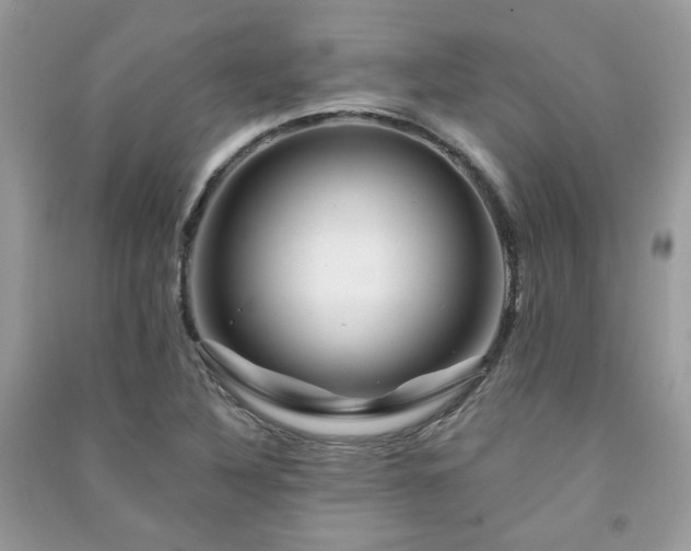 X0000091371316200708101524