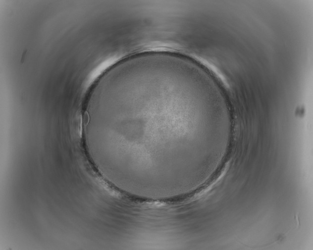 X0000091371317200708101524