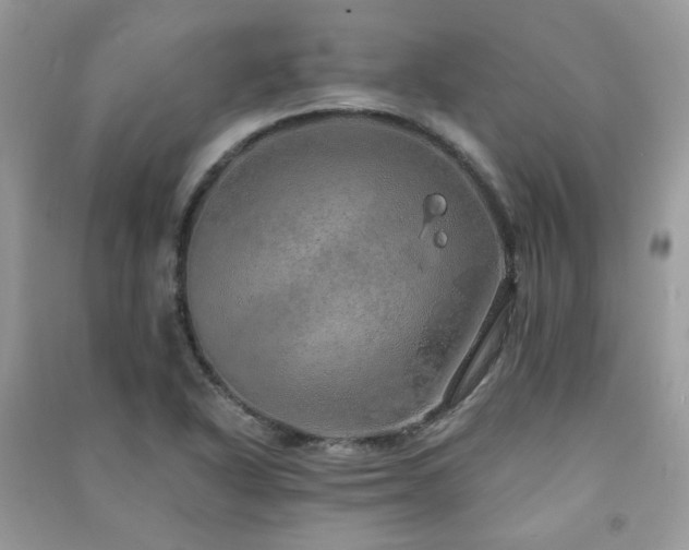 X0000091371318200708101524