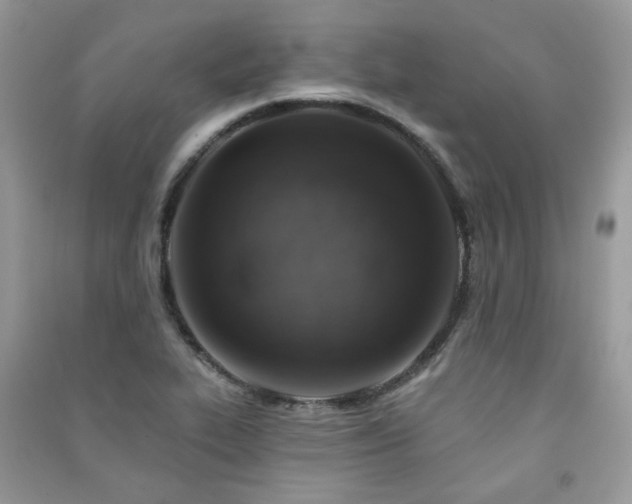 X0000091371319200708101524