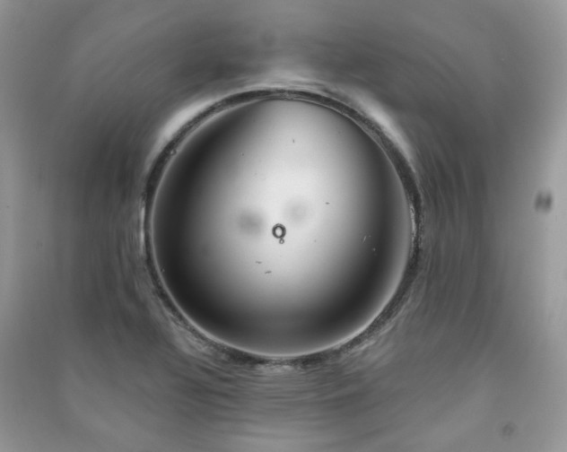 X0000091371320200708101524