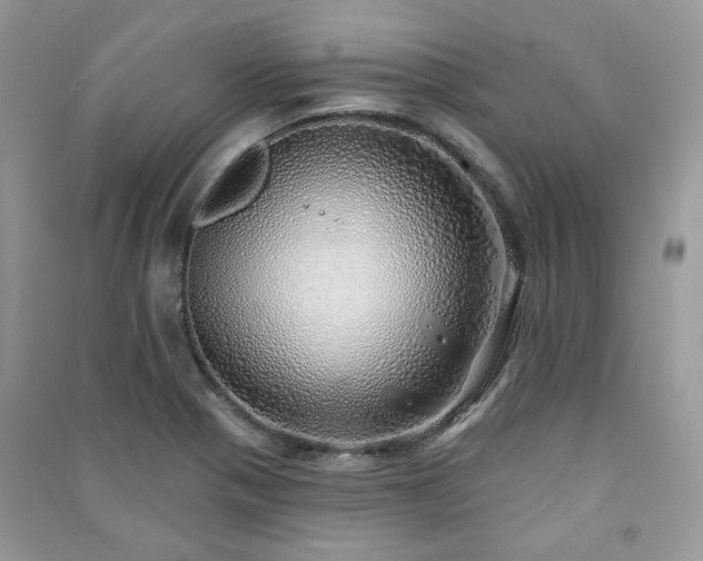 X0000091371321200708101524