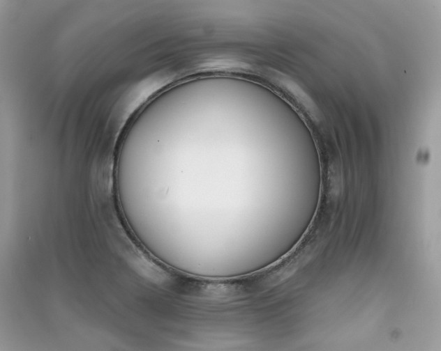 X0000091371322200708101524