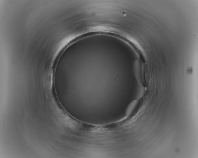 X0000091371323200708101524