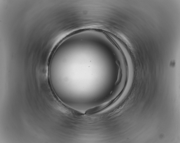 X0000091371324200708101524