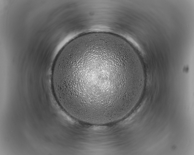 X0000091371325200708101524