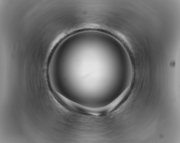 X0000091371326200708101524