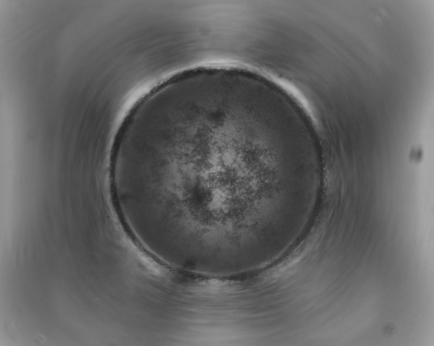 X0000091371327200708101524