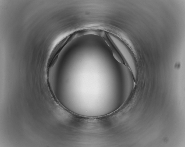 X0000091371328200708101524