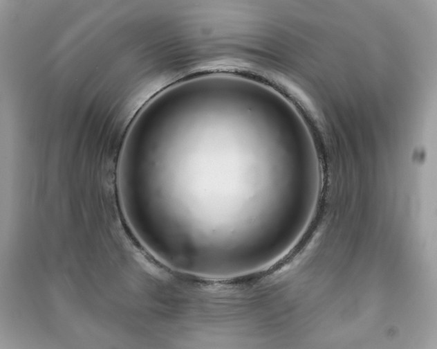 X0000091371329200708101524