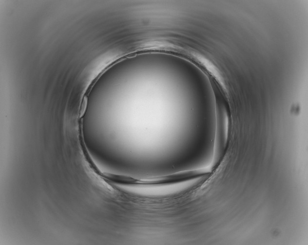 X0000091371330200708101524