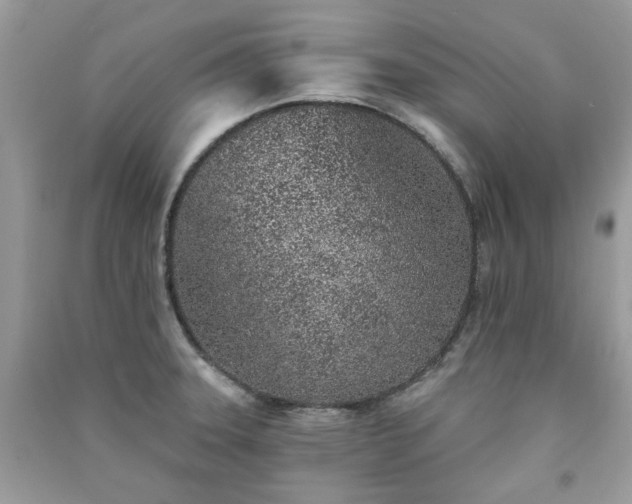 X0000091371331200708101524