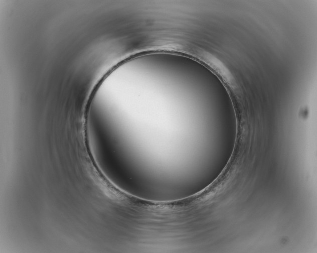 X0000091371332200708101524