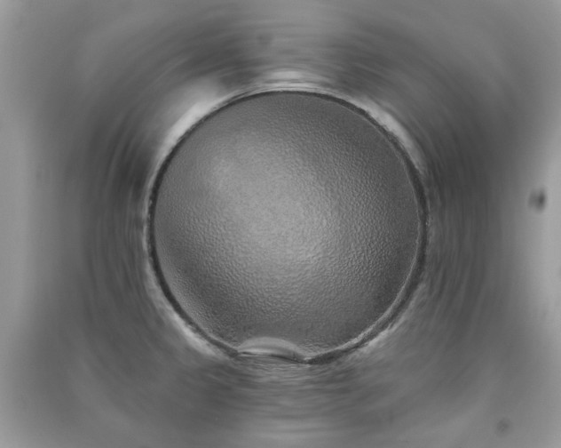 X0000091371333200708101524