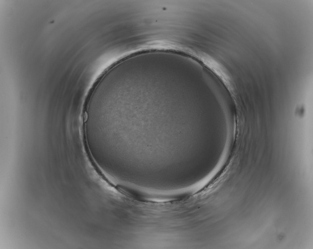 X0000091371334200708101524