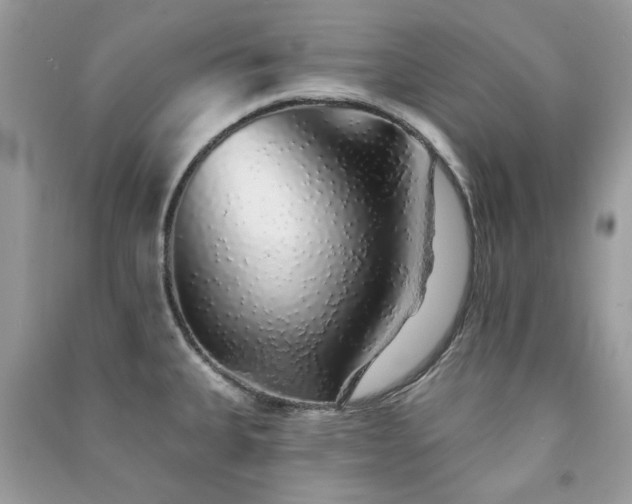 X0000091371335200708101524