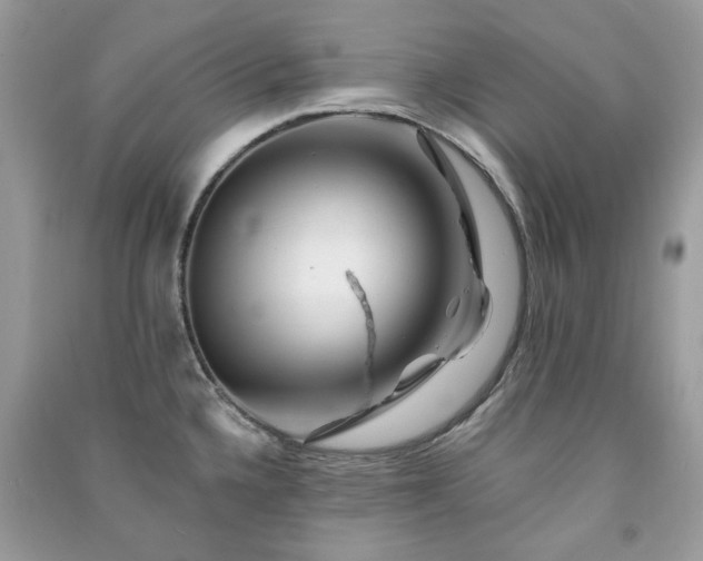 X0000091371336200708101524