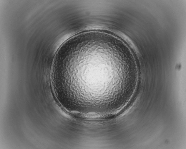 X0000091371337200708101524