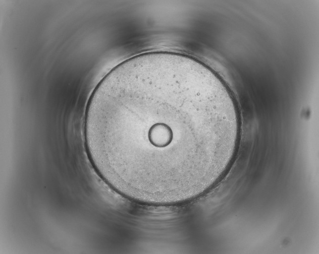 X0000091371338200708101524