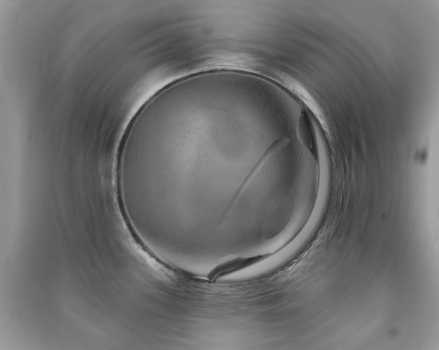 X0000091371339200708101524