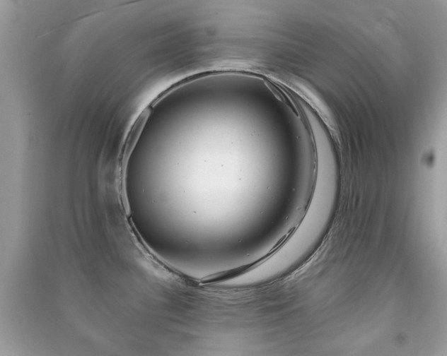 X0000091371340200708101524