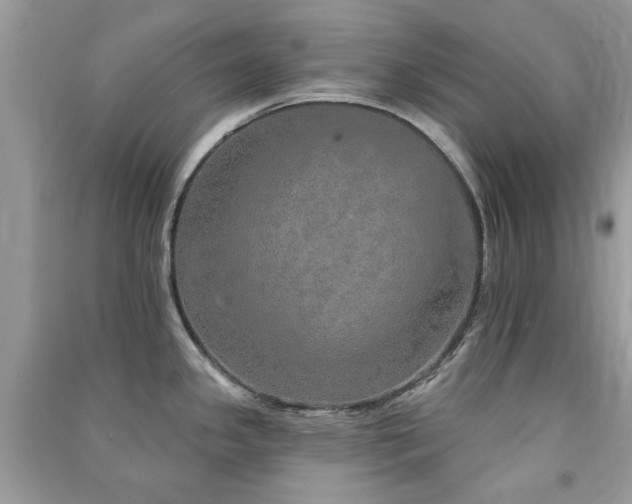 X0000091371341200708101524