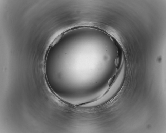 X0000091371342200708101524