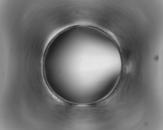 X0000091371343200708101524