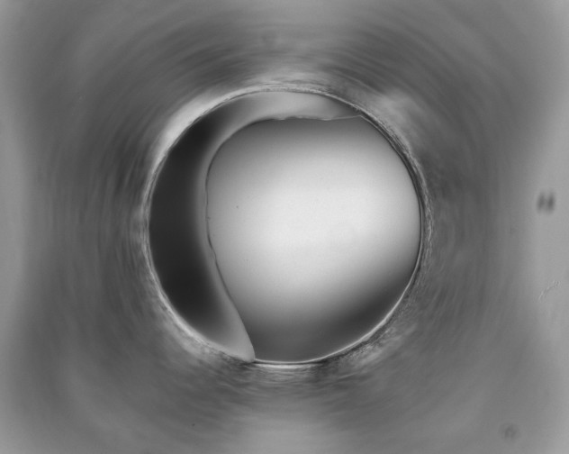 X0000091371344200708101524