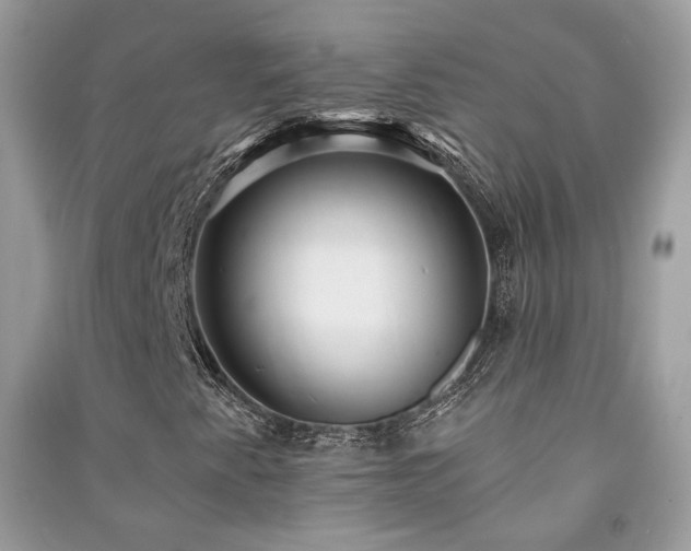 X0000091371345200708101523