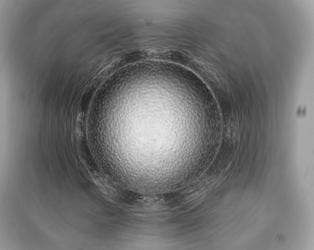 X0000091371346200708101523