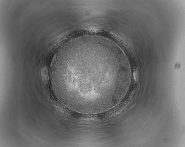 X0000091371347200708101523