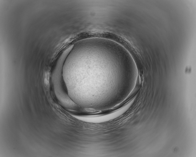 X0000091371348200708101523