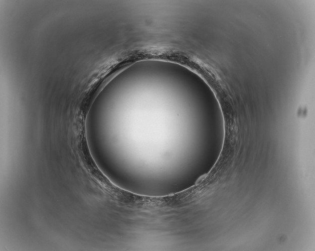 X0000091371349200708101523